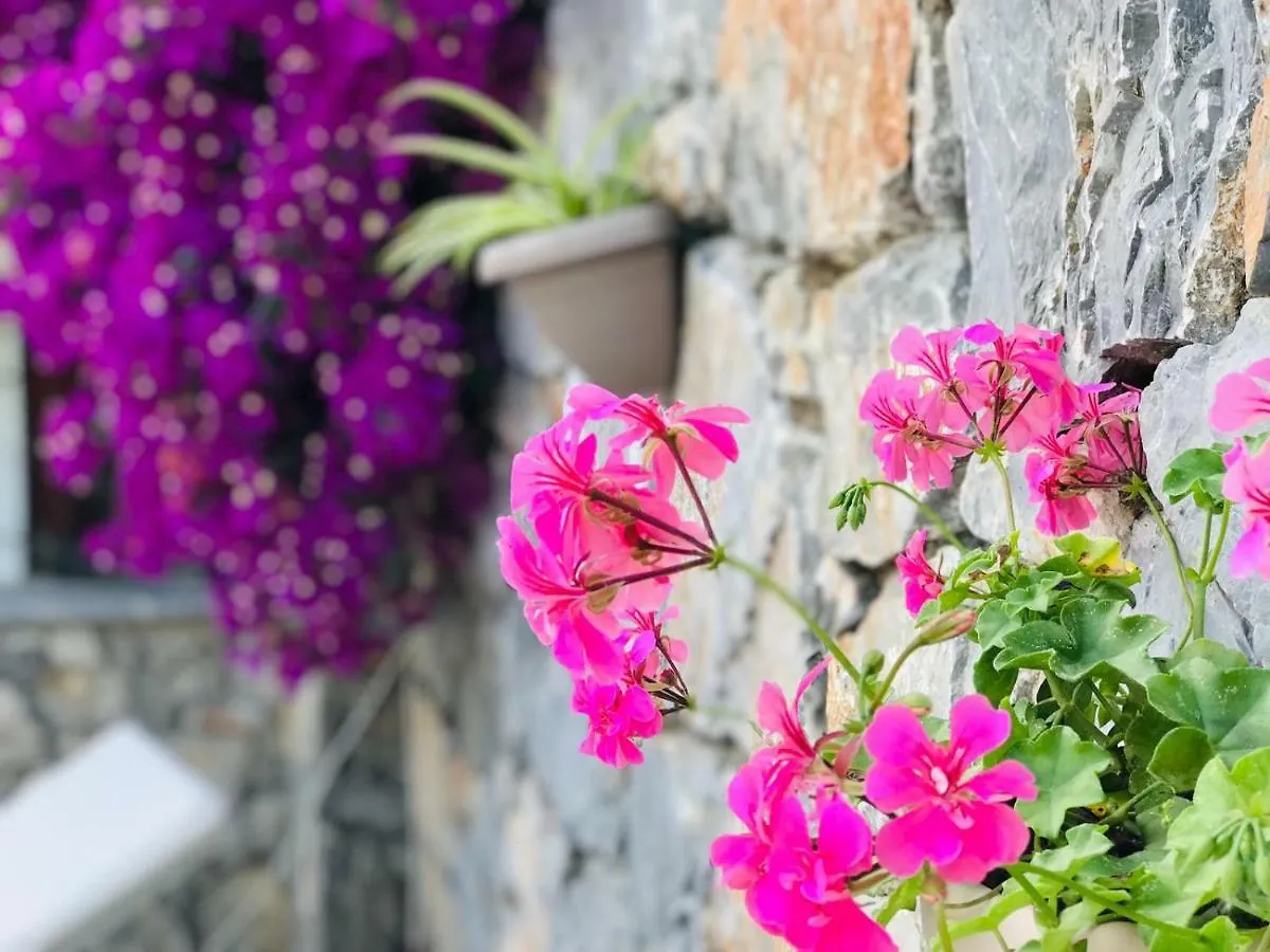 Nehir Dalyan Boutique Otel Ortaca  Bed & Breakfast Ortaca (Mugla)